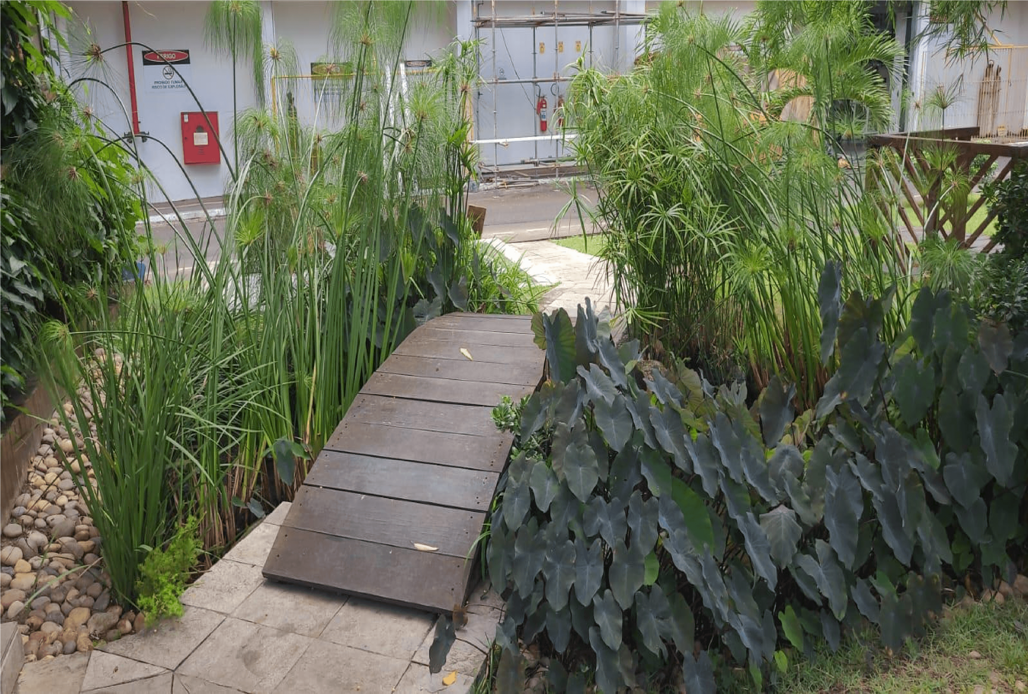 Jardim Japonês Musashi do Brasil - Imagem 2